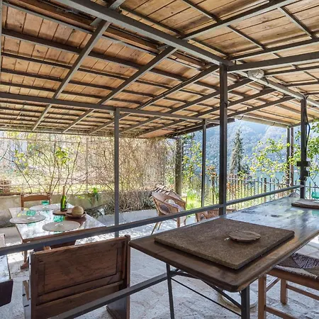 Cozy House In With Patio, Lake View! Apartment