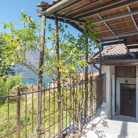 Cozy House In With Patio, Lake View! Apartment